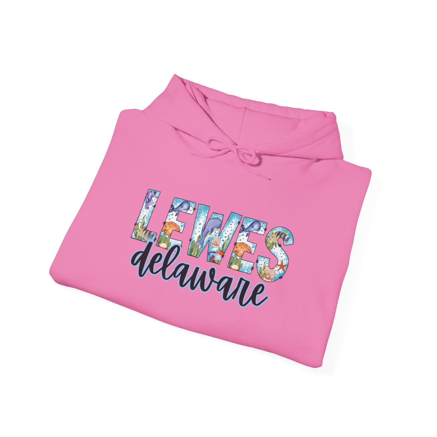 Lewes Delaware Ocean Fonts Unisex Hooded Sweatshirt Hoodie