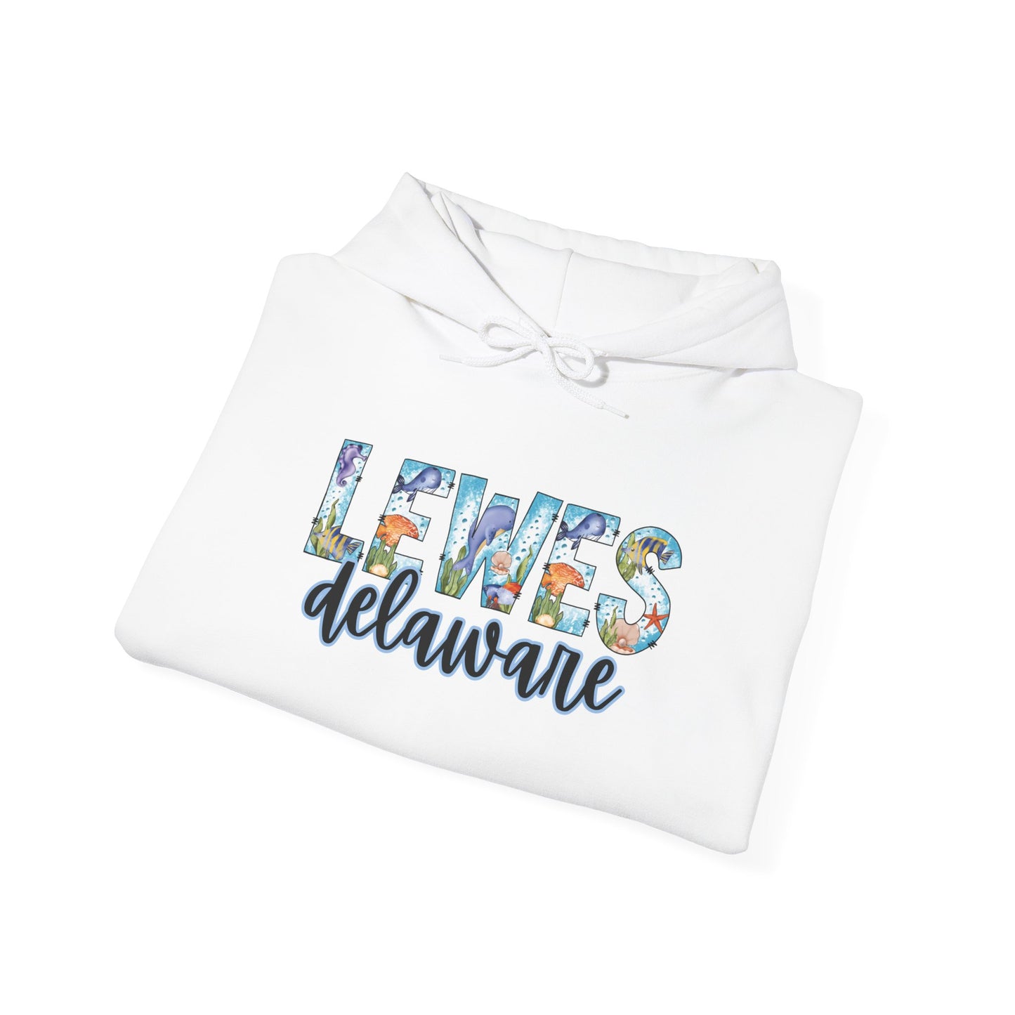 Lewes Delaware Ocean Fonts Unisex Hooded Sweatshirt Hoodie