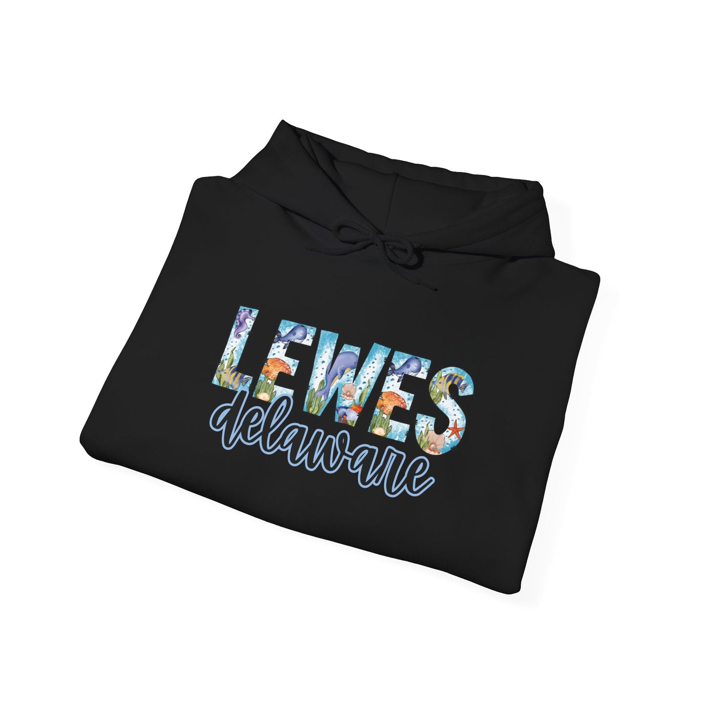 Lewes Delaware Ocean Fonts Unisex Hooded Sweatshirt Hoodie