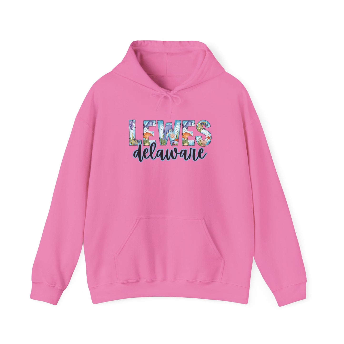 Lewes Delaware Ocean Fonts Unisex Hooded Sweatshirt Hoodie