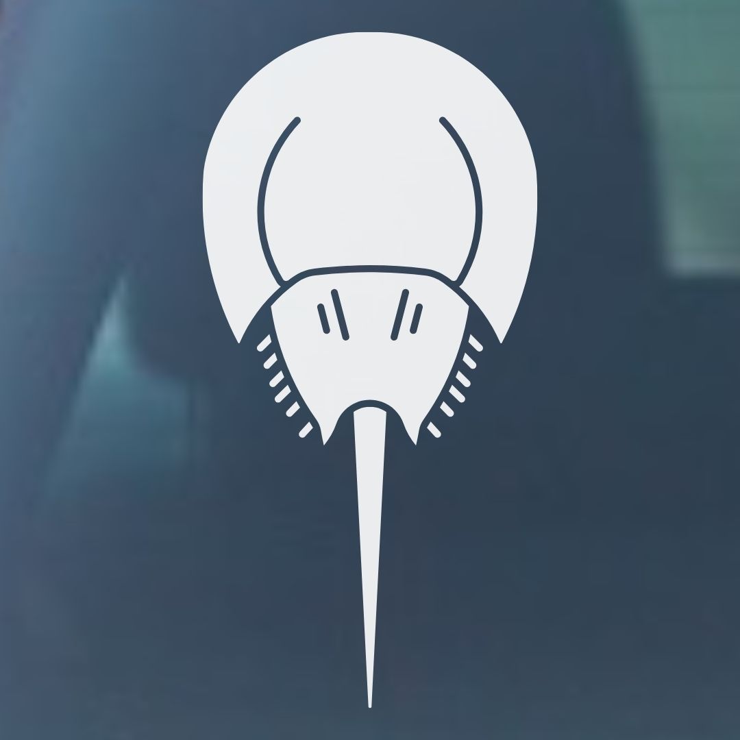 Horseshoe Crab Vinyl Decal - 6 Colors Available